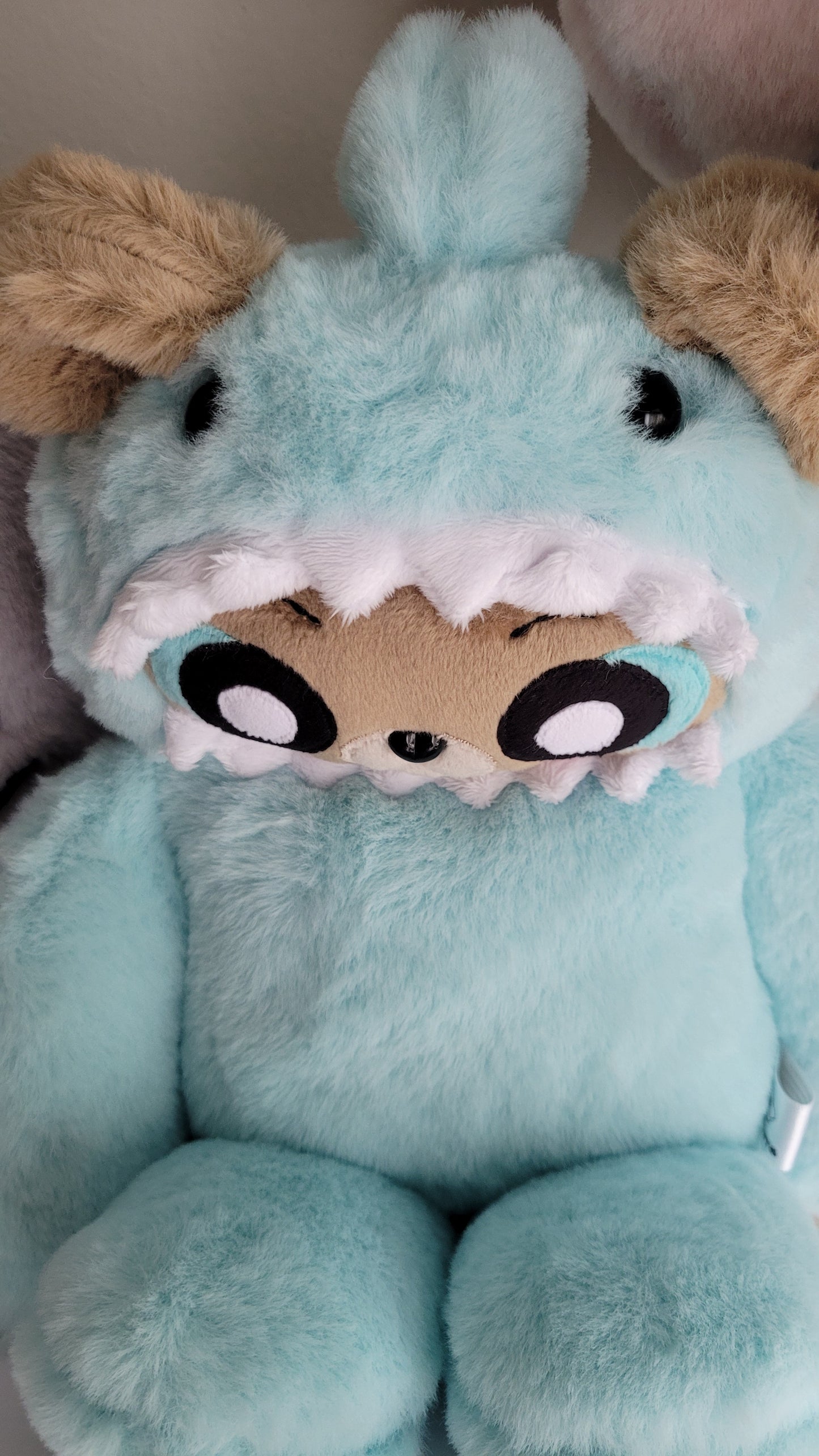 Teddy