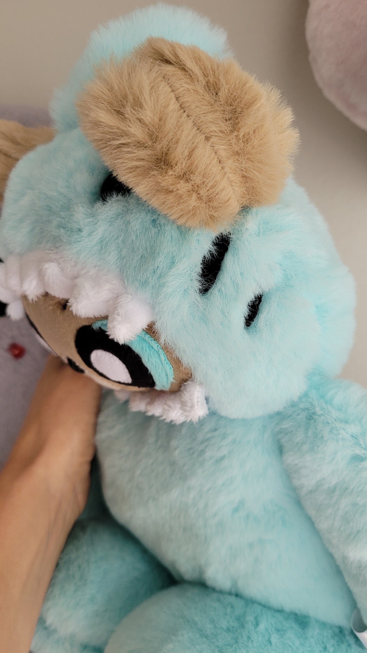 Teddy