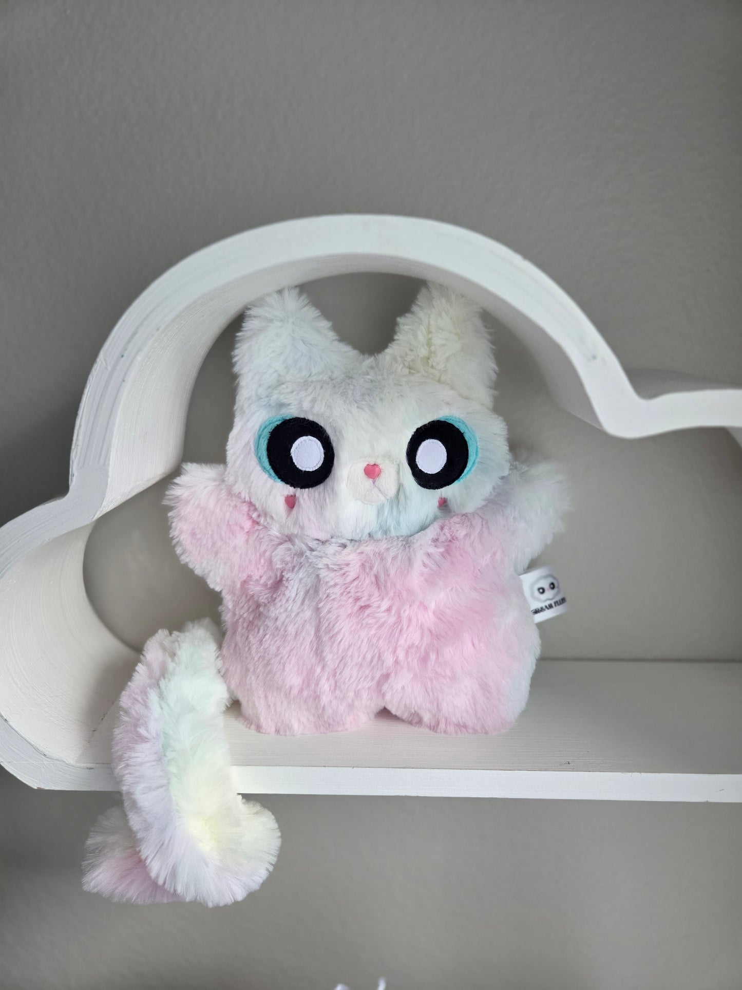 Phoebe the fluuuufffy cat